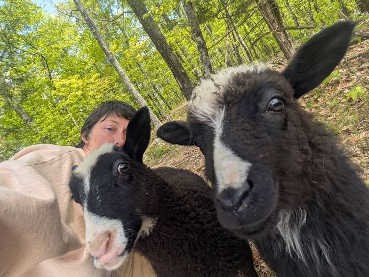 Fall Farm Day at Three Rivers Homestead