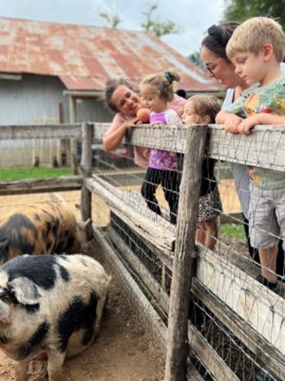 Little Farmer Friday: Fall Harvest