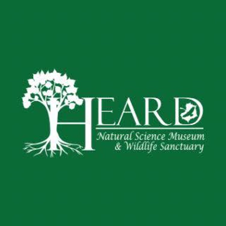 Fright at the Museum