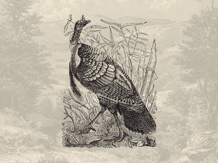 A Christmas Carol. In Prose. Being a Ghost Story of Christmas. Written by Mr. Charles Dickens.