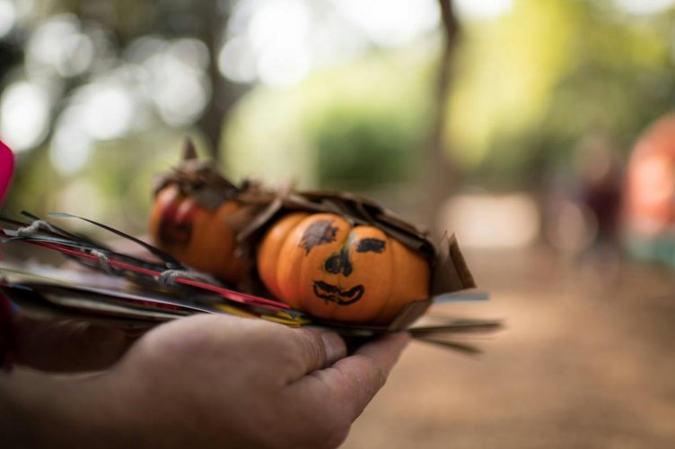 Member Fall Festival