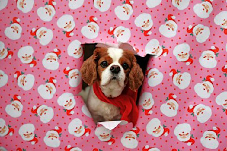 Miracle on 26th St Holiday Market at Seoul Food (Mill District)