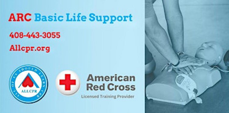 Red Cross Basic Life Support class in Winston-Salem