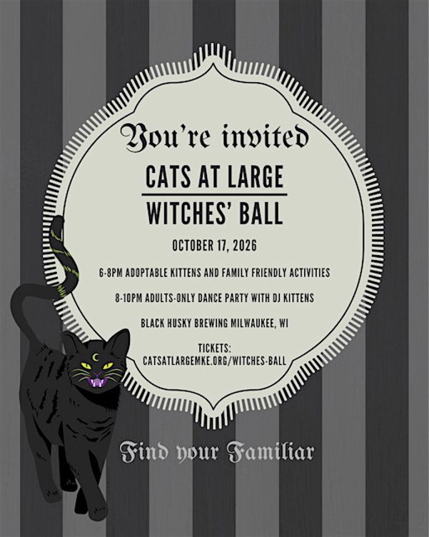 Cats At Large Witches' Ball