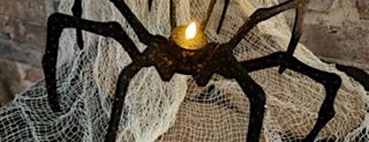 Webs & Bones