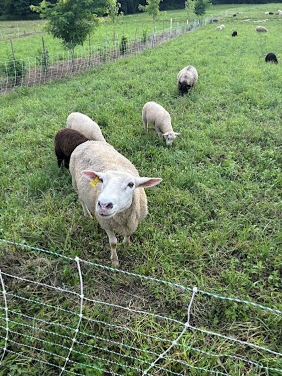 New And Beginning Farmer Seminar