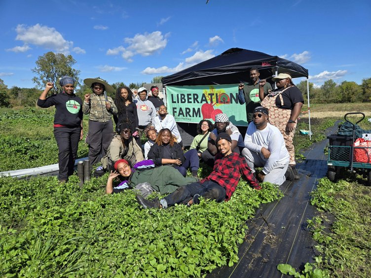 Farm Day (Volunteer Work Days)