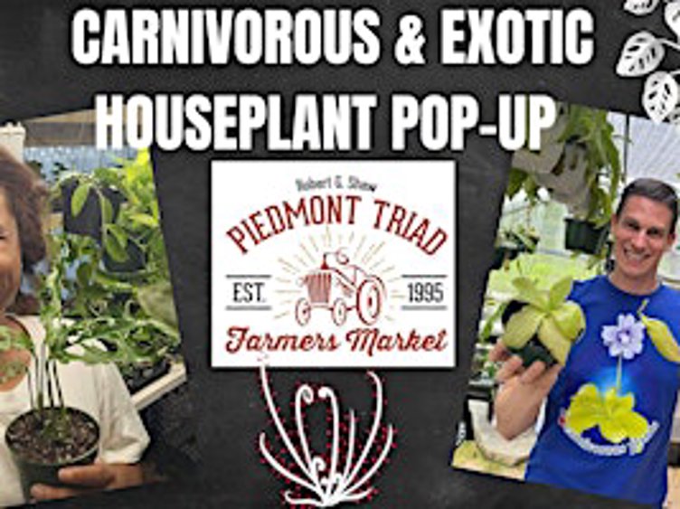 Carnivorous & Exotic Houseplant Pop-Up at Piedmont Triad Farmers Market!