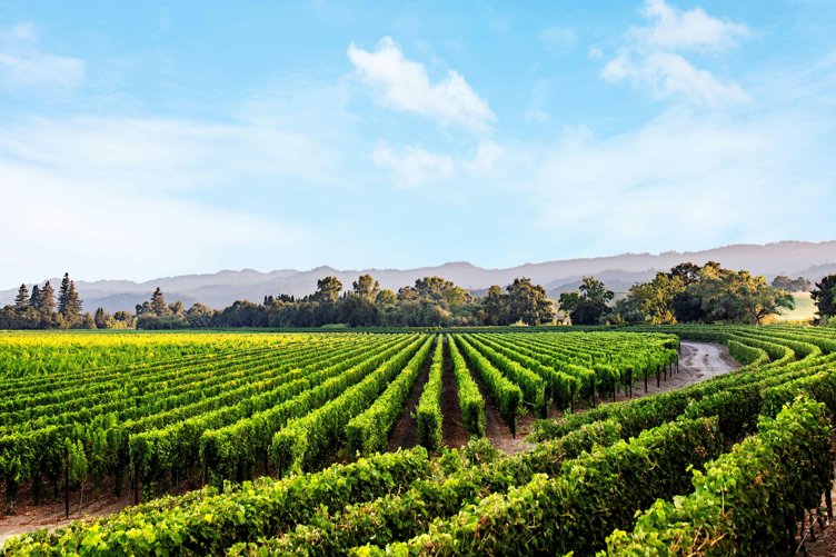 Chart House Prime - Caymus Wine Dinner