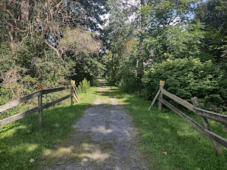 Foraging Walk on the Stamford, NY Rail Trail