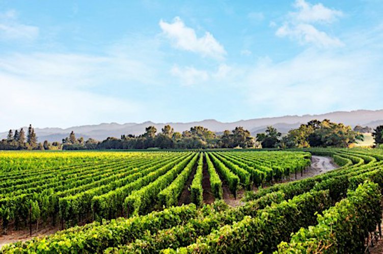 Chart House Prime - Caymus Wine Dinner