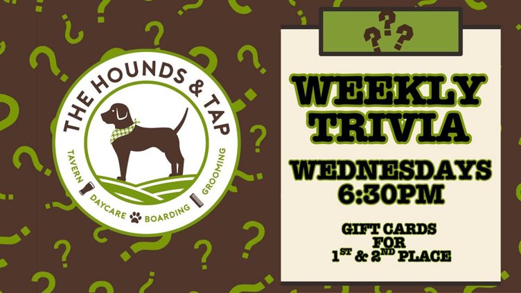 Trivia Night!