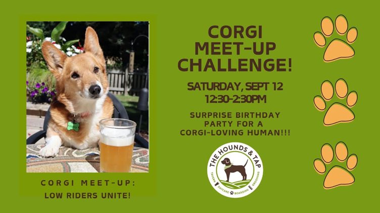 CORGI MEET-UP CHALLENGE!