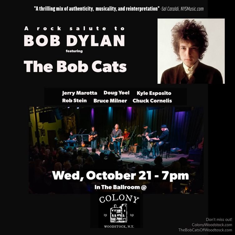 The Bob Cats - A rock salute to DYLAN