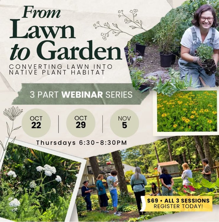 From Lawn to Garden: Converting Lawn into Native Plant Habitat