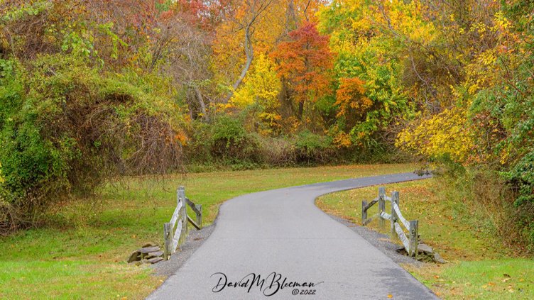 Annual Autumn Colors Photo Walk at Terrapin Park