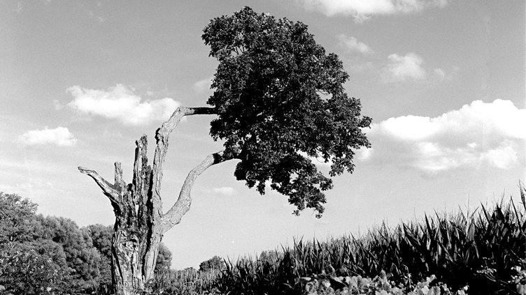 Film Photography Monthly Meeting