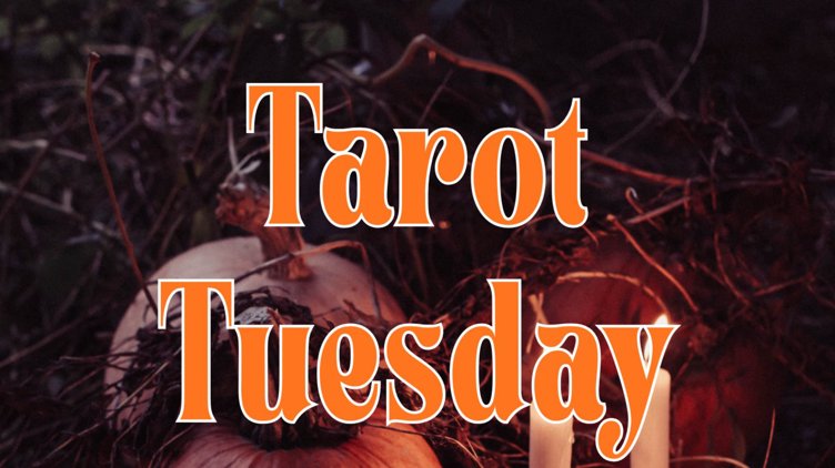 Tarot Tuesdays at Wye Hill
