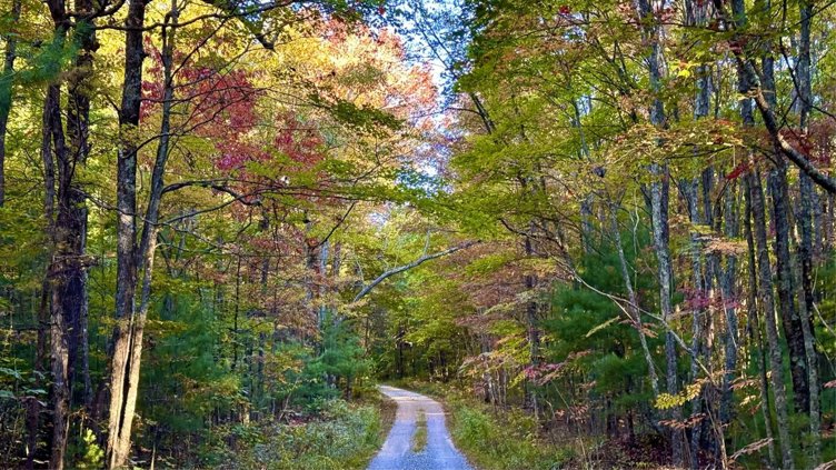 Starr Mountain Loop Trail #119