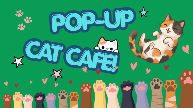 Cat Cafe
