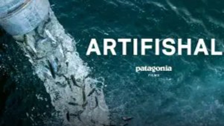 FILM: “ARTIFISHAL” - The road to extinction is paved with good intentions