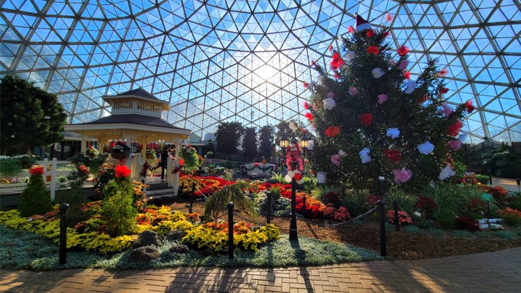 Sketching at the Mitchell Park Domes (Holiday Show)