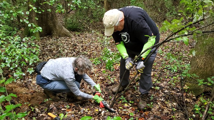 Invasive Plant Removal at White Deer Park 2026-11-14