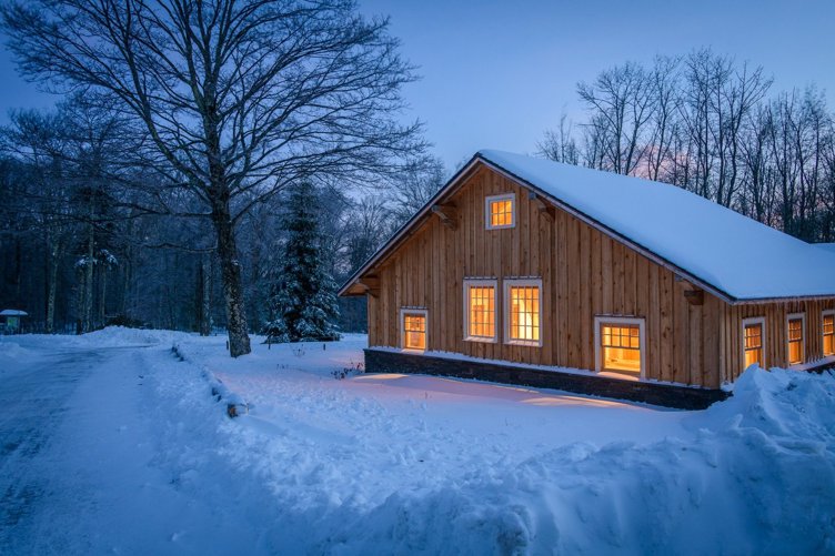 Winter Solstice Forest Bathing and Luminary Walk